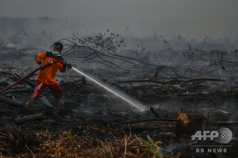 インドネシアで森林火災急増 マレーシアにスモッグ広がる