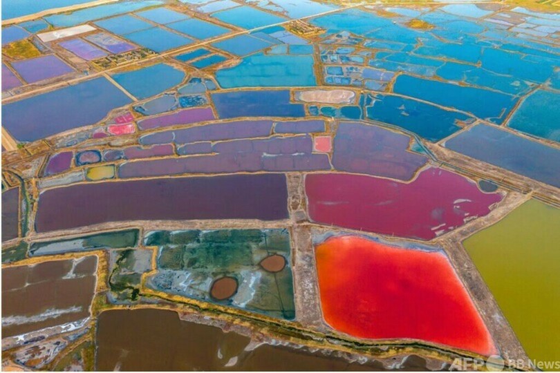 中国、「国際湿地都市」の数が世界一位に