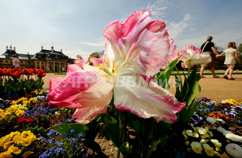 GWはぜひ春爛漫のドイツへ！