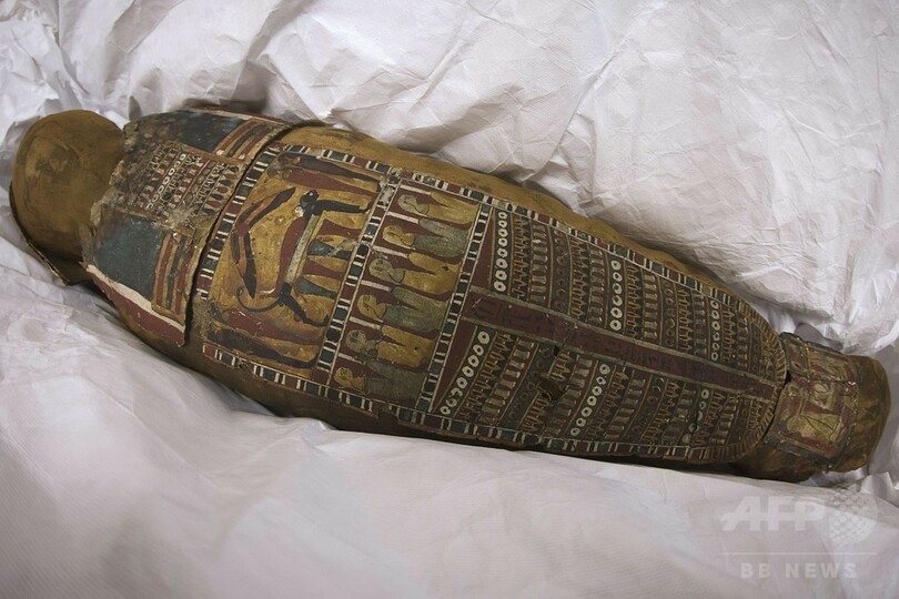 ごみ収集時に発見のミイラ、展示へ パリ郊外