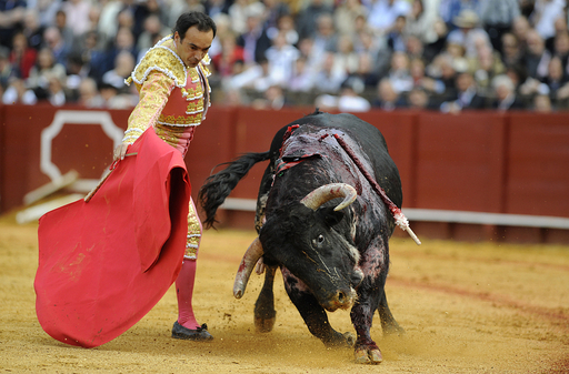 マタドールが舞う、スペイン・セビリアで闘牛大会 写真21枚 国際
