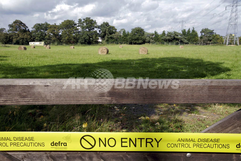 英国で口蹄疫感染を確認、8月以来国内6例目 写真1枚 国際ニュース:AFPBB News