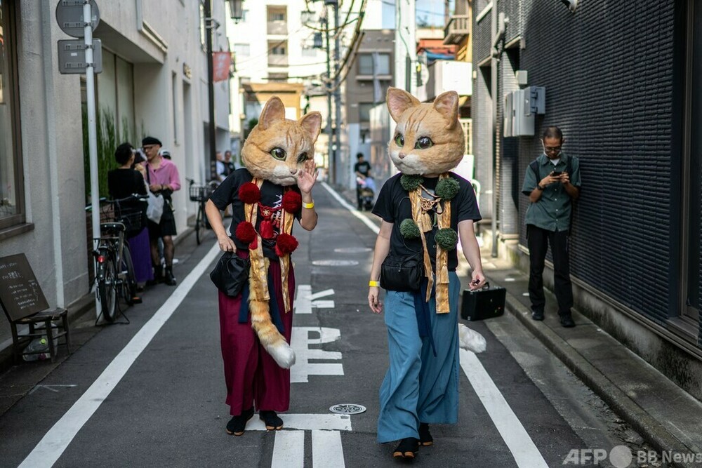 今日の1枚】東京・神楽坂に化け猫出現？ 写真4枚 国際ニュース：AFPBB News