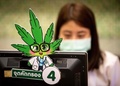 タイの首都バンコクに開業した大麻専門クリニックで受付を行う看護師（2020年1月6日撮影）。(c)Mladen ANTONOV / AFP
