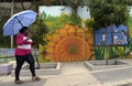 南米コロンビア・メデジン（Medellin）の最貧国地区のひとつ「コムーナ13（Comuna 13）」の街中に描かれた壁画（2014年4月1日撮影）。(c)AFP/Raul ARBOLEDA