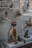 エジプトの古代都市サッカラの発掘現場で展示された、同国考古学チームが新たに発見した猫の金メッキを施された木像（2018年11月10日撮影）。(c)KHALED DESOUKI / AFP
