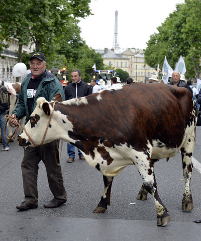 羊や牛も行進、畜産農家が業界の実情訴える集会 パリ