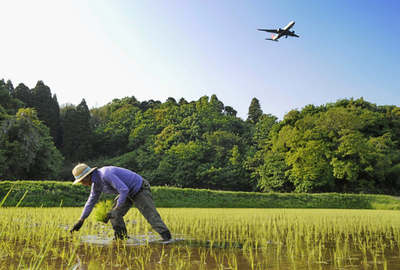 日本の農業人口、20年間で半減 高齢化進む