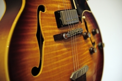 ギターのギブソン、木材の違法輸入で違反金 米国