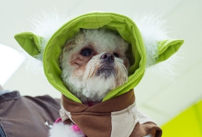 公開迫る「スター・ウォーズ」最新作、関連商品も続々登場 米