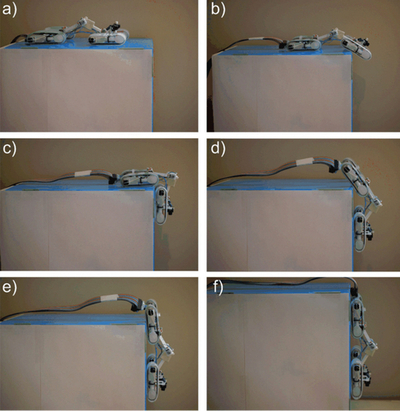 壁面を垂直走行するロボットを開発、ヤモリがヒントに カナダ