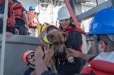 太平洋で漂流5か月、米国人女性2人と愛犬2匹を救助
