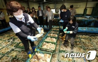 韓国・今年上半期の輸入水産物、うち日本産は2.4％…昨年同期比0.4％↓