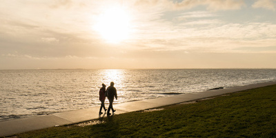 パートナーへの腎臓提供、多いのは「妻から夫」 研究