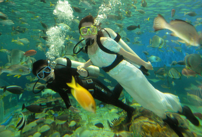 花嫁姿でダイブ、「ジューン・ブライド」にちなんだ海中ショー