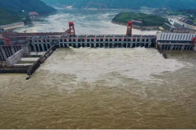 珠江流域の水利施設、洪水防止に全力 中国