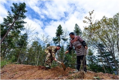 森林法で強力な生態系保護障壁を構築 中国