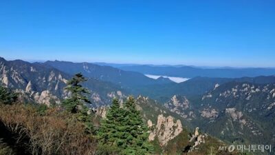 韓国で相次いだ山の事故…登山中に「毒草」食べて呼吸困難・視力低下