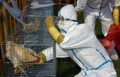 ＜鳥インフルエンザ＞研究チームがワクチン開発、動物実験に成功 - 台湾