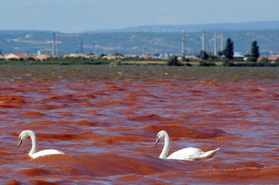 【特集】世界各地の水質汚染