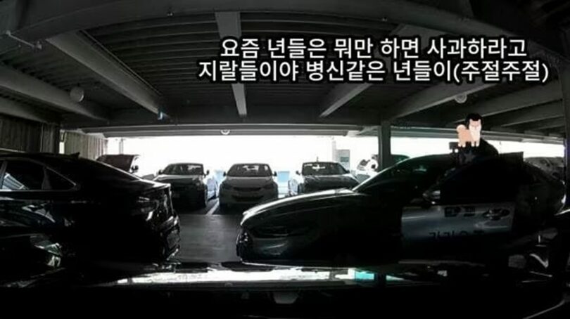 「ボベドリーム」キャプチャー(c)news1