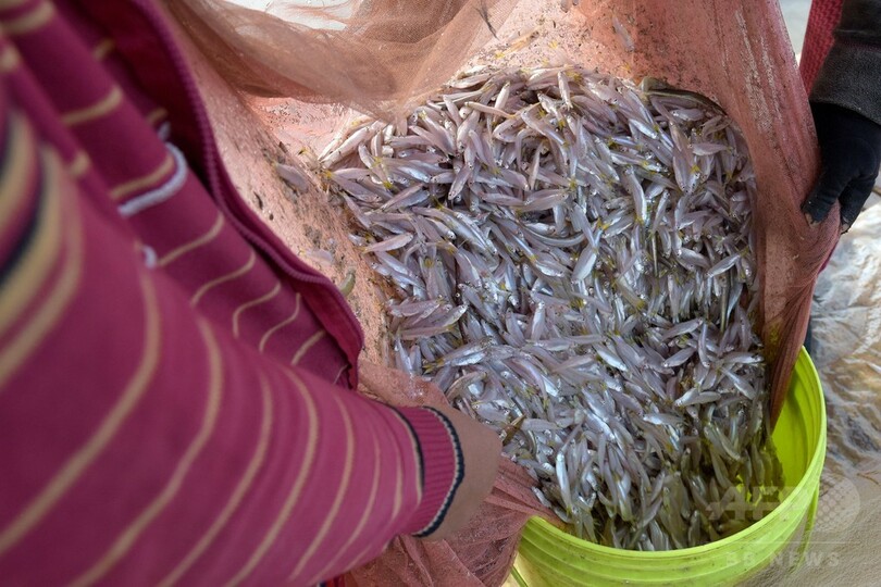 メコン川上流を支配する中国、下流域諸国の生命線を握る