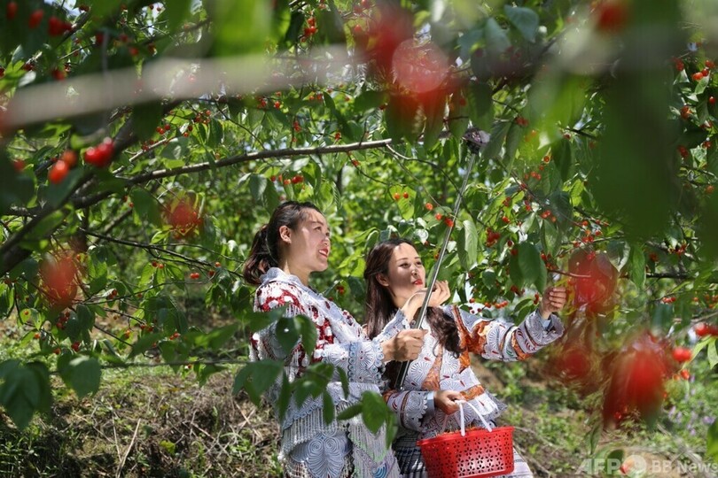 中国の「販売促進の女王」が「転落」 ライブコマースは「野蛮時代」に別れを告げる