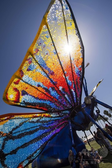 華麗なる変身 芋虫からチョウへ 米野外フェスに巨大アート 写真17枚 国際ニュース Afpbb News