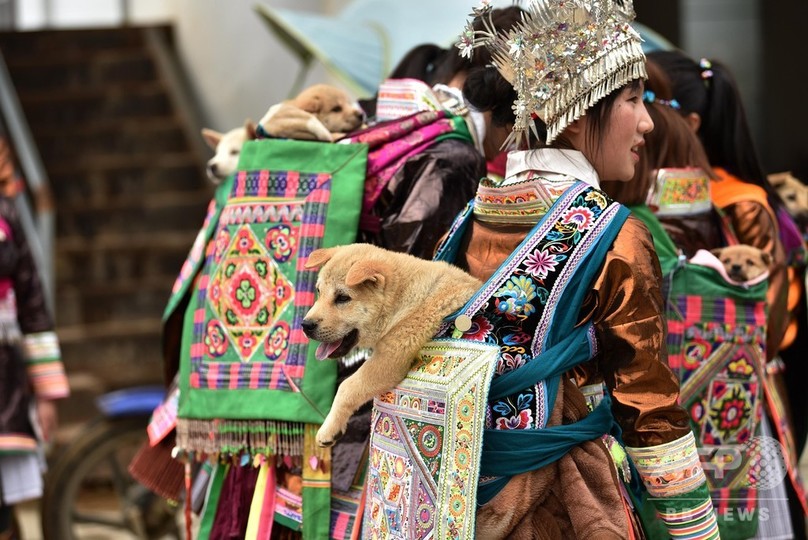 娘らが子犬を背負って100軒の家を回る 貴州 従江の新米祭り 写真10枚 国際ニュース Afpbb News