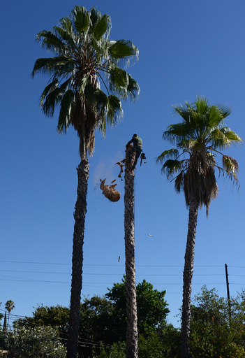 img_bd65cd579bd4ba61b36baf0335