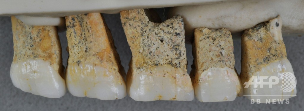 フィリピンで発見の化石、初期人類の新種と確認 5万年前 フィリピンで発見の化石、初期人類の新種と確認 5万年前