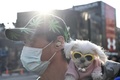 マスク姿の男性。台湾・台北で（2020年1月30日撮影）。(c)Sam Yeh / AFP