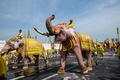 タイ・バンコクの旧市街にある王宮近くで、ワチラロンコン国王に敬意を表すための行進に参列する象（2019年5月7日撮影）。(c)Jewel SAMAD / AFP