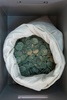 スペイン南部セビリアの工事現場から見つかった古代ローマ時代の硬貨。同市の考古学博物館で（2016年4月28日撮影）。(c)AFP/Gogo Lobato