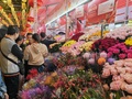 広州市の越秀西湖花市で、春節用の花を選ぶ人たち（2025年1月25日撮影）。(c)Xinhua News