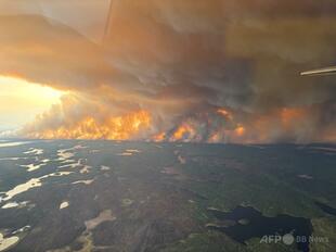 カナダ2州、山火事で非常事態宣言