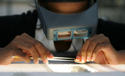 政府出資でダイヤ原石流通企業を開設、ボツワナ