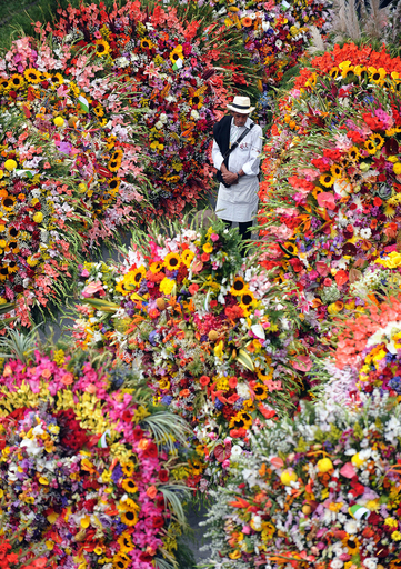 色鮮やかな花輪のパレード、南米コロンビア
