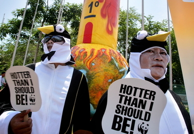 COP13、熱帯のバリ島でペンギンの着ぐるみ男が抗議活動