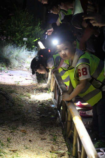 夜の植物園、妖精を探しに 上海の子どもたち