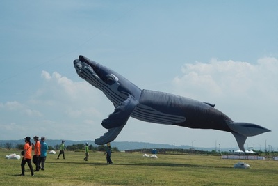 クジラやルービックキューブも空へ、台湾でたこ揚げ大会