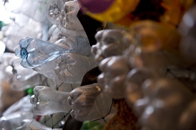 プラスチックを消化分解する酵素、研究過程で偶然作製 米英チーム