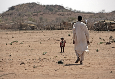 チャドで遊牧民と農民が衝突、22人死亡 発端は牛