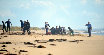 サメに片脚食いちぎられサーファー重体、豪