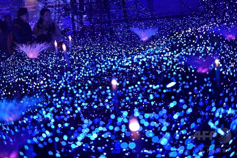 思わずうっとり、27万個のLEDライトが織り成す「青い星の谷」