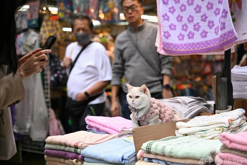 【今日の1枚】「店番中です」世界のマーケットで