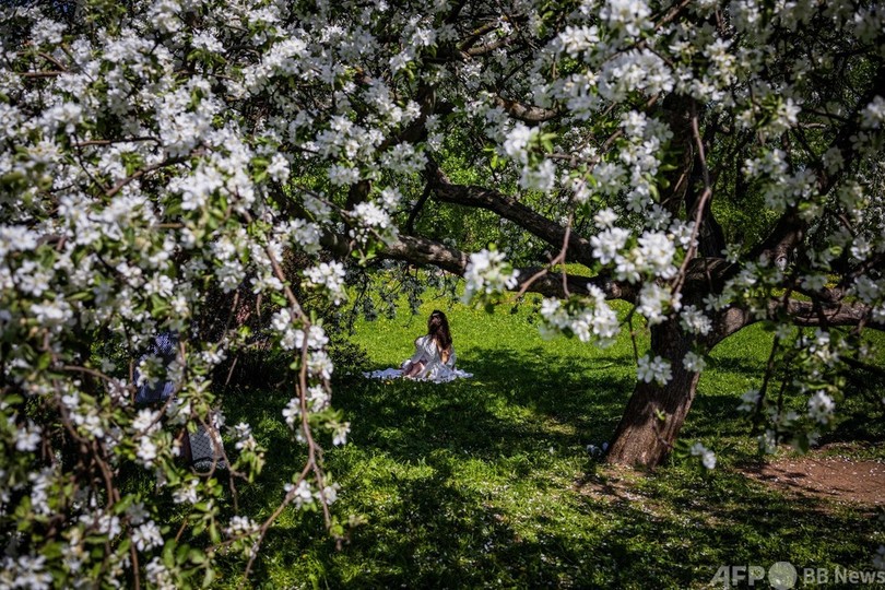 ライラックやリンゴの花に包まれて ロシア・モスクワ