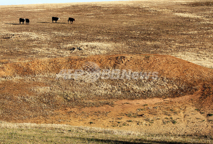 熱帯気候地域の拡大 最悪のシナリオを超えた規模に 米研究報告 写真1枚 国際ニュース Afpbb News