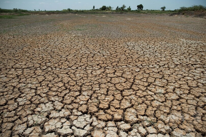 地球温暖化拡大で 酸欠 の危機も 英研究 写真1枚 国際ニュース Afpbb News