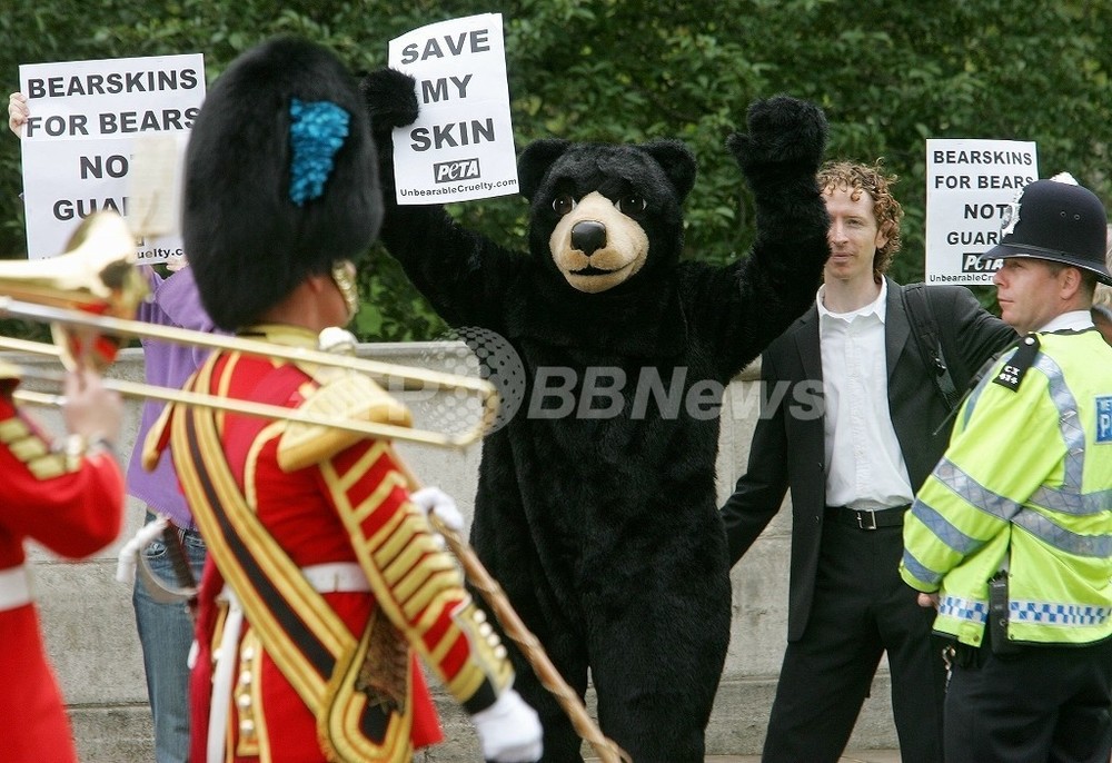 近衛兵のクマ毛皮帽子の代用品、英国防省と動物愛護団体が協議へ